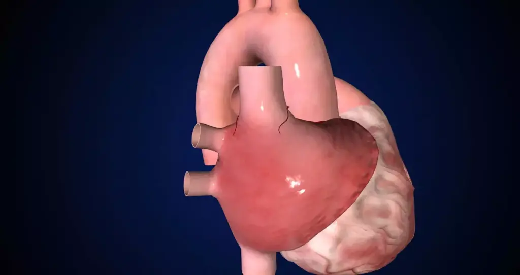 A clear, detailed comparison of valve repair and replacement procedures. In the foreground, a close-up of a human heart valve, meticulously rendered with precise anatomical accuracy. In the middle ground, two side-by-side surgical scenarios: on the left, a valve being carefully repaired with delicate instruments; on the right, a replacement valve being precisely implanted. The background depicts a sterile, well-lit operating room, with medical equipment and personnel suggesting the high-stakes, technical nature of these critical cardiac interventions. The overall mood is one of clinical professionalism and attention to detail, conveying the gravity and importance of the "valve repair vs. replacement" decision.