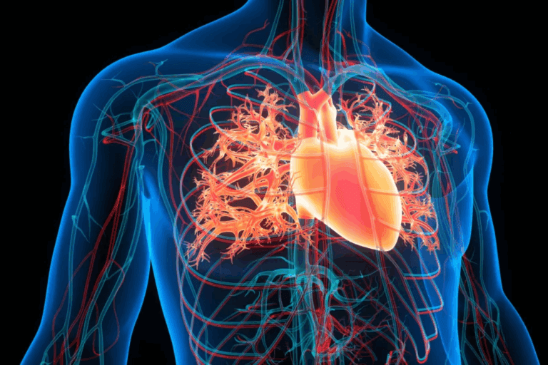 CHB Medical Abbreviation Meaning