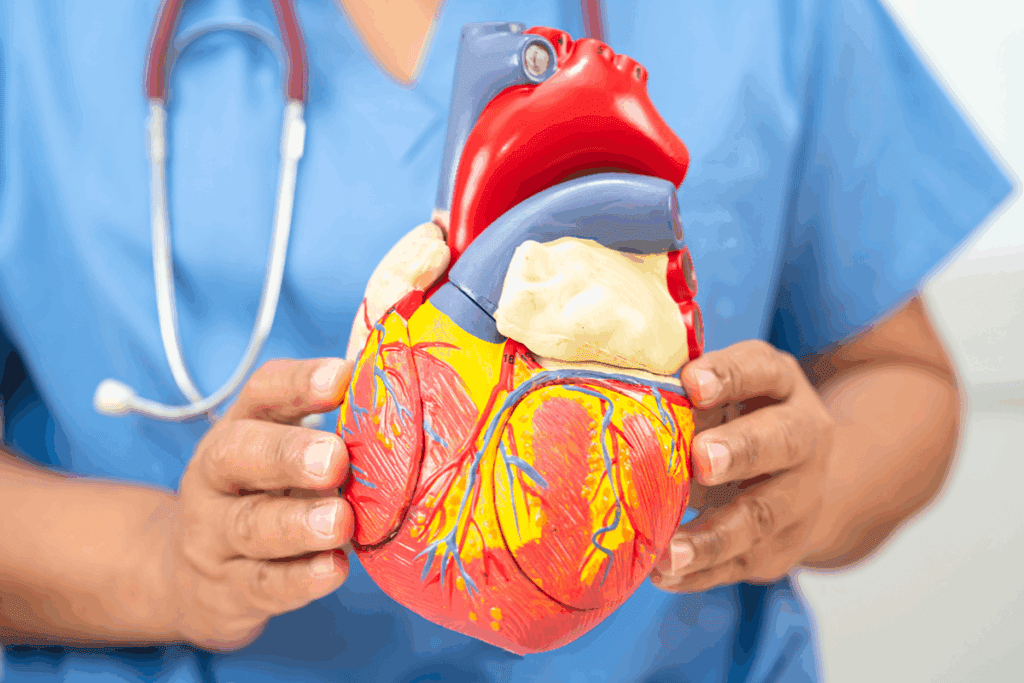 Heart Bypass Procedure Step by Step