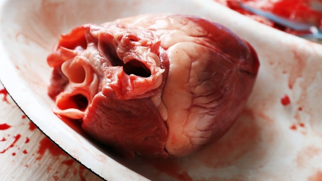 Physiology of Brady Tachycardia