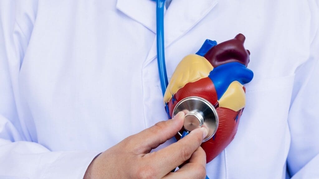 bovine aortic valve replacement