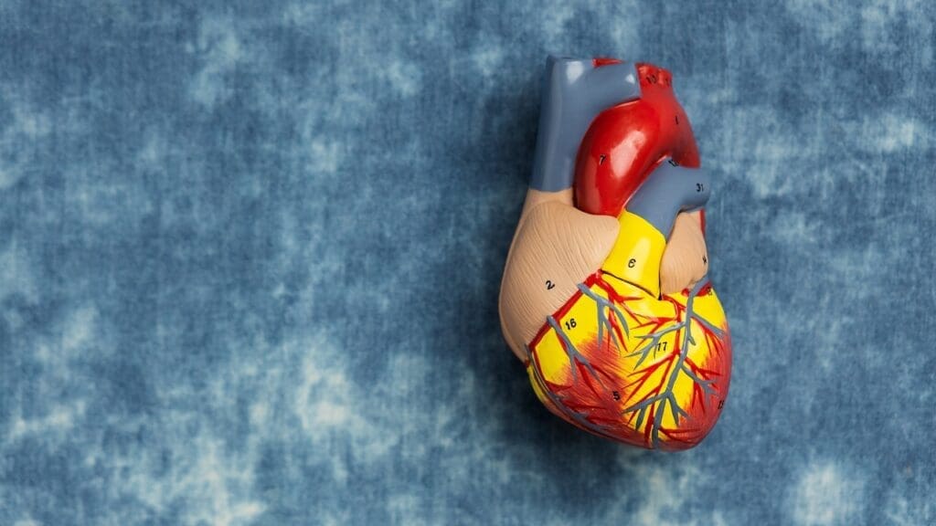cardiac biomarkers for mi