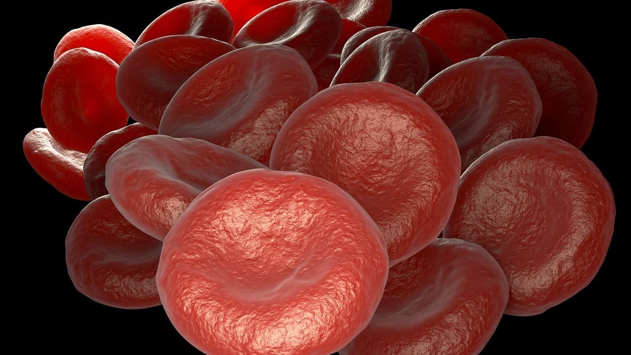 Heart Attack Blood Markers: 5 Key Tests Doctors Use for Diagnosis