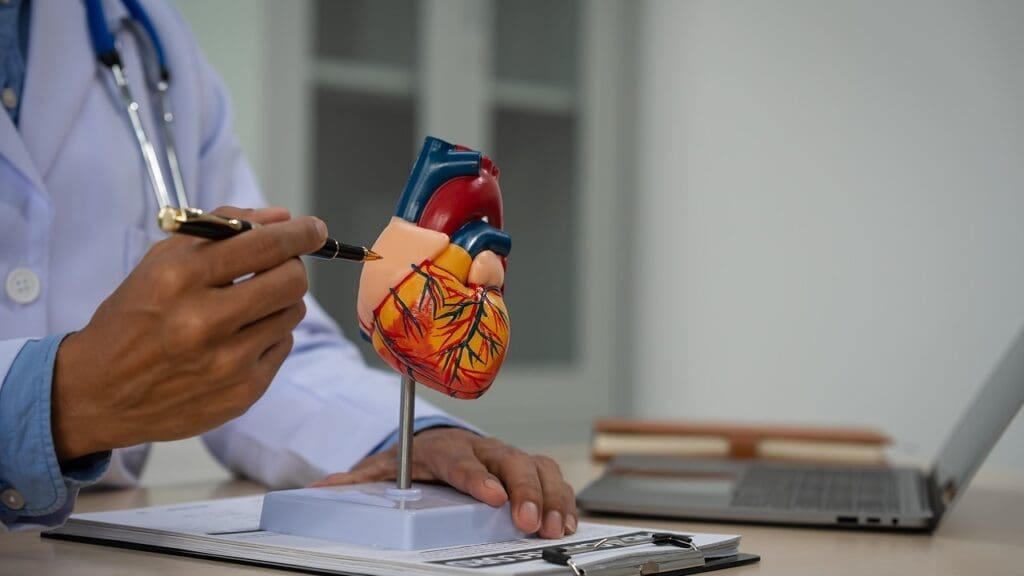 troponin release during cardiac damage