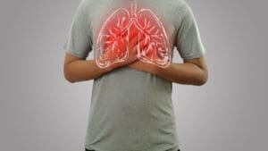 Pulmonary Artery to Lungs: 8 Key Facts on Structure, Function & Size