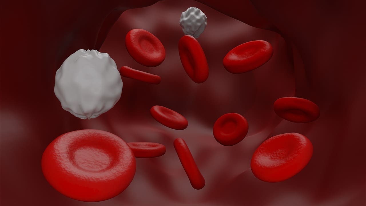 Which Blood Vessels Carry Oxygen Poor Blood and Why Is This Important?