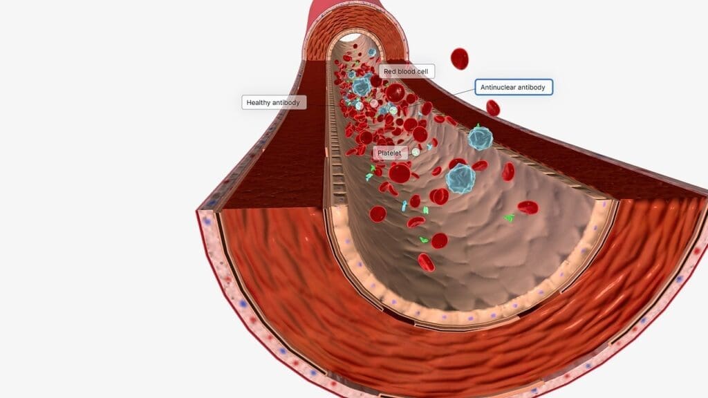Unique Blood Carried