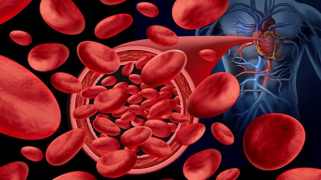 Role and Characteristics of Blood Role and Characteristics of Blood