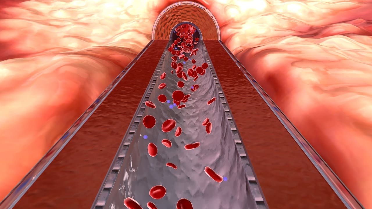 How Does Blood Flow in the Arteries Work and What Regulates Arterial Blood Flow? 1 How Does Blood Flow in the Arteries Work and What Regulates Arterial Blood Flow?