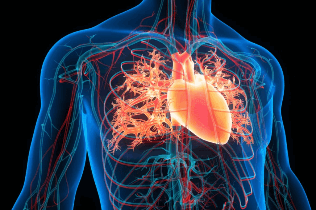 What Is Coronary Artery Disease CAD: 10 Facts 2 What Is Coronary Artery Disease CAD: 10 Facts