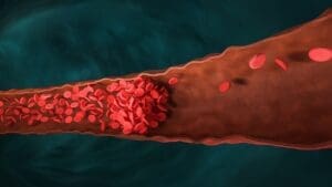 3 Main Types of Blood Vessels: Structure, Function, and Meaning Explained