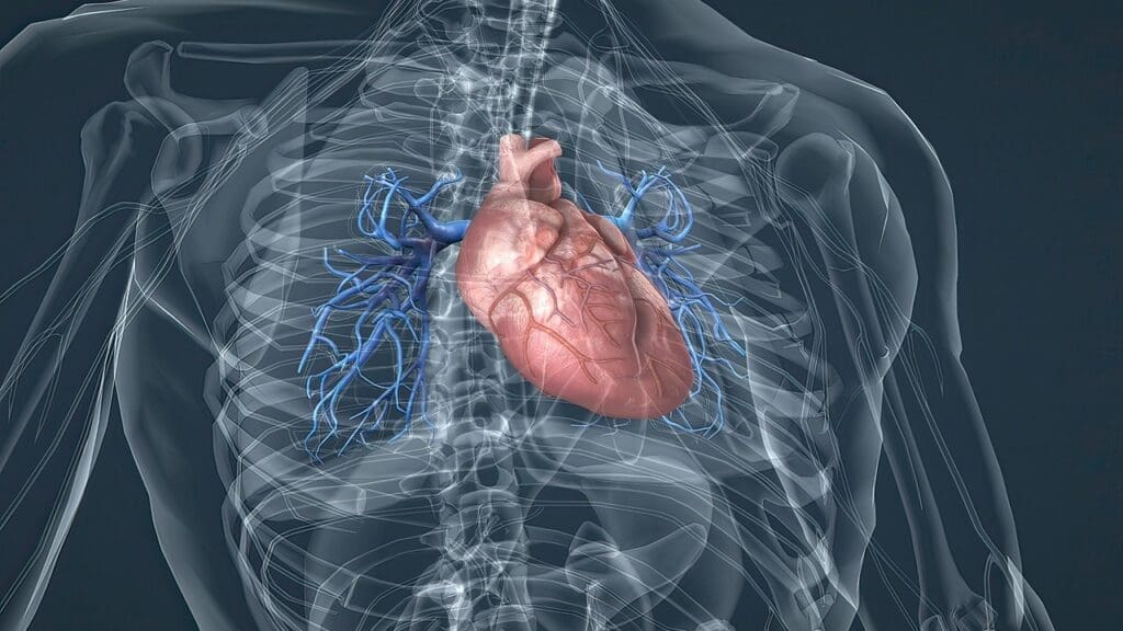 ectatic ascending thoracic aorta