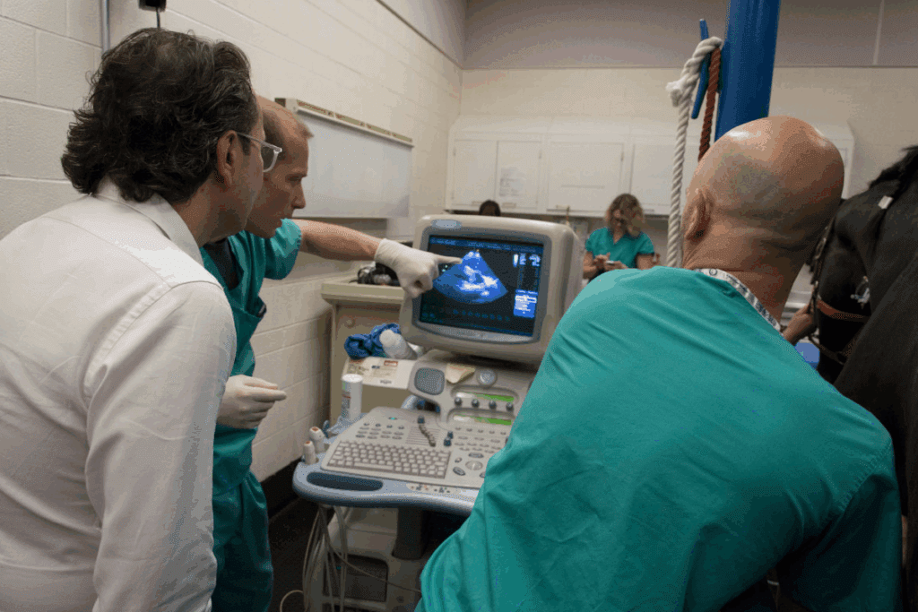 Atrial Flutter Medication: 12 Key Treatments 2 Atrial Flutter Medication: 12 Key Treatments