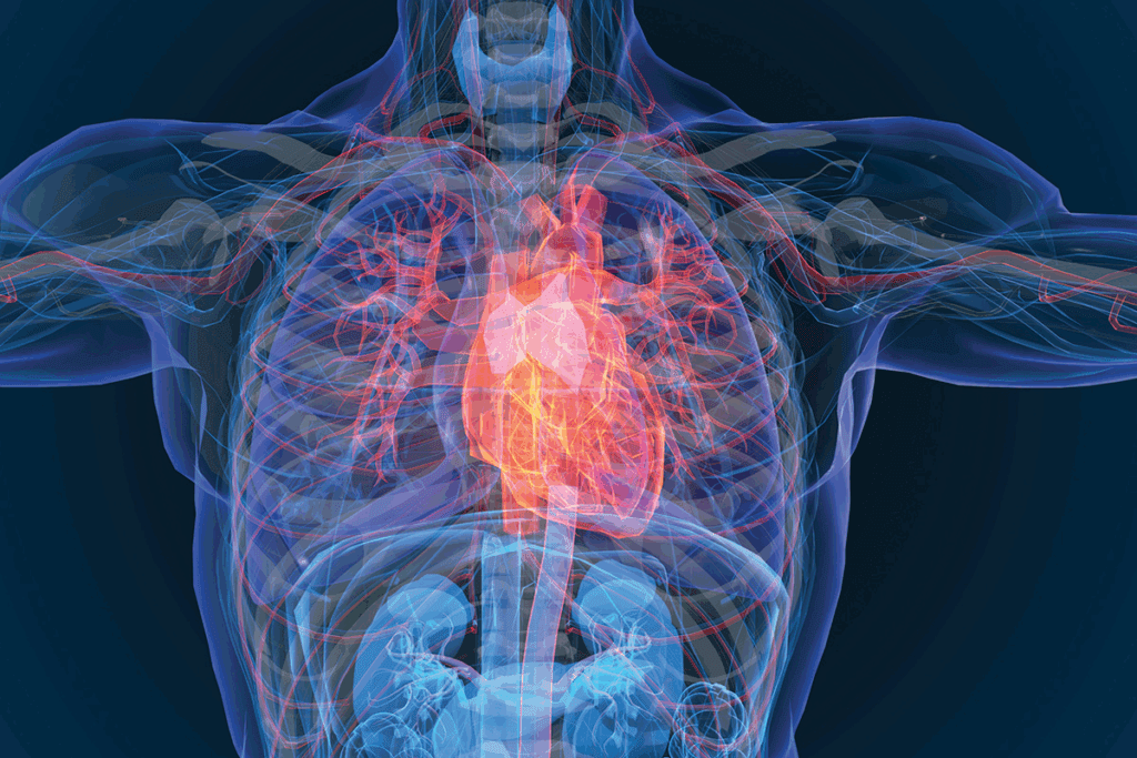 Major Arteries of the Body: Complete Labeled Map 3 Major Arteries of the Body: Complete Labeled Map