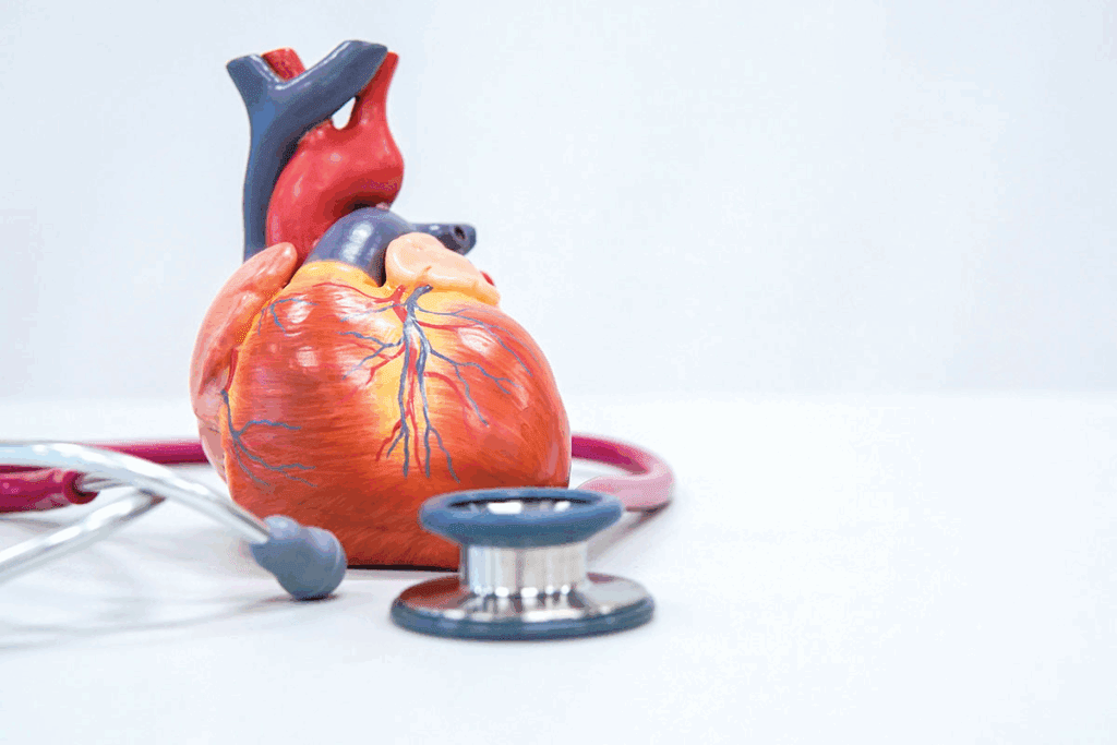 Aortic Valve Cusps: 3 Essential Facts Explained