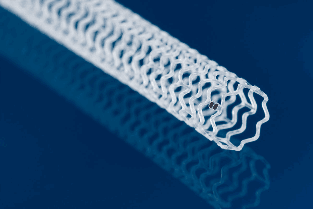 How Big Is a Heart Stent? Size and Look