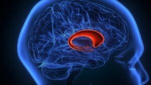 Which Type of Brain Tumor Causes Memory Loss and Why?