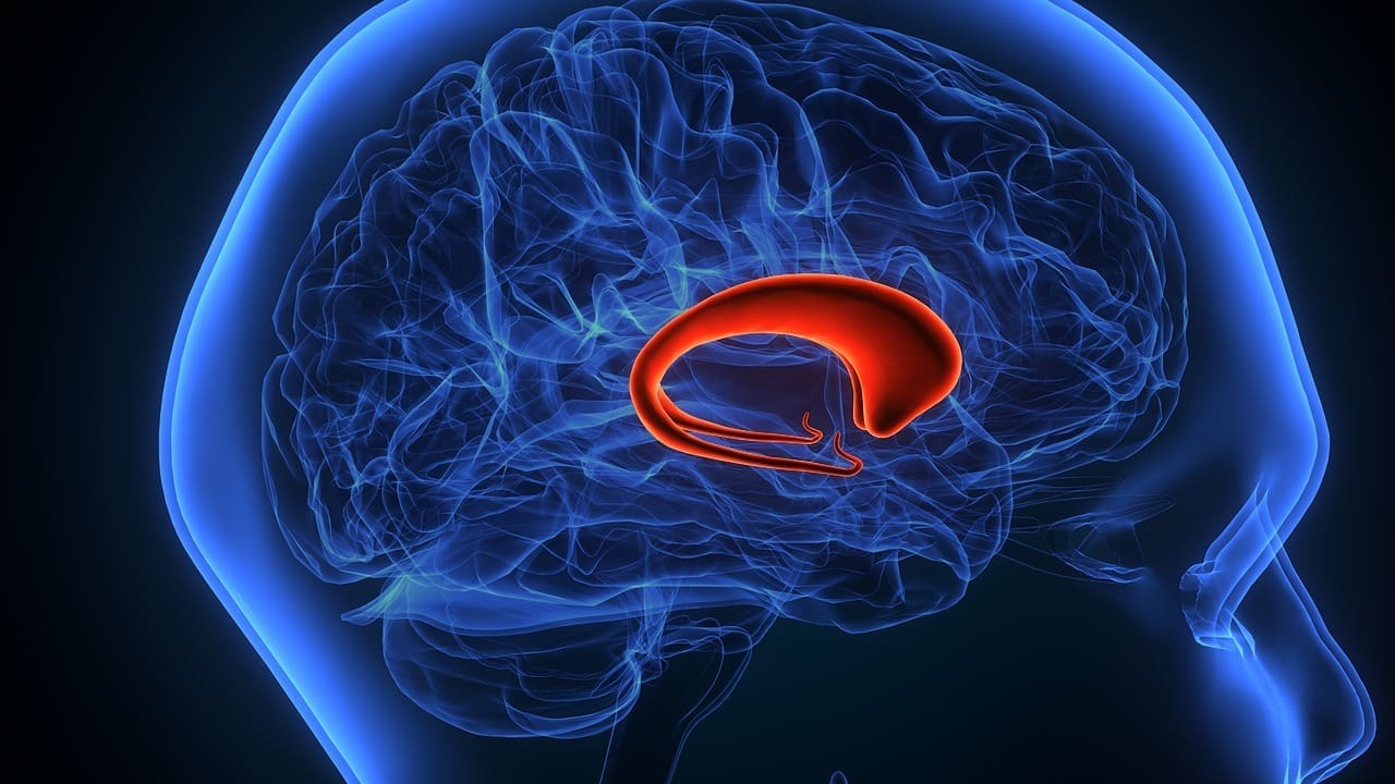 Which Type of Brain Tumor Causes Memory Loss and Why? 1 Which Type of Brain Tumor Causes Memory Loss and Why?