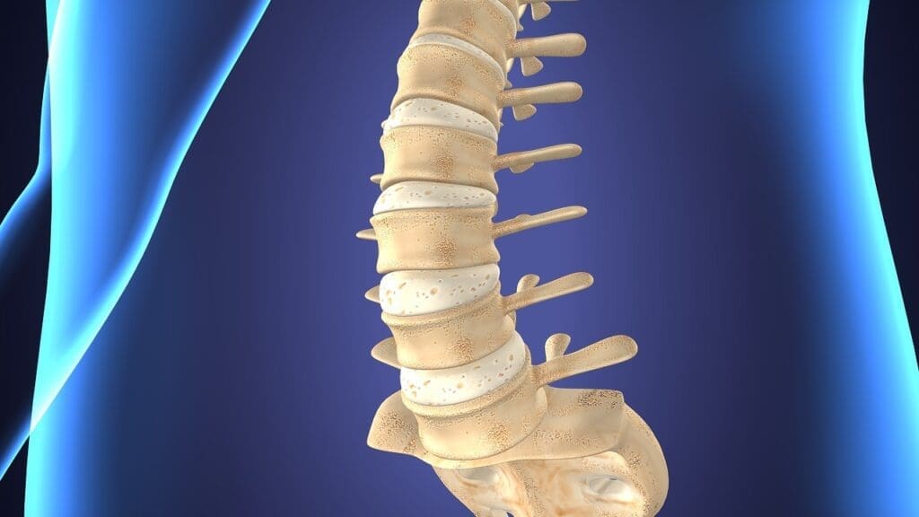 Understanding Bulging Discs