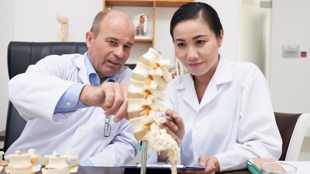 Understanding Spinal Disc Anatomy