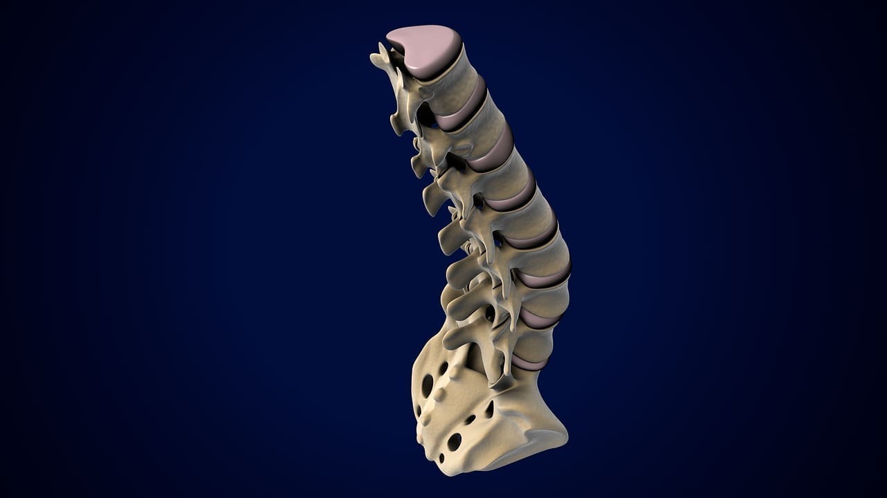 Understanding the Difference Between a Disc Bulge and a Slipped (Herniated) Disc 1 Understanding the Difference Between a Disc Bulge and a Slipped (Herniated) Disc