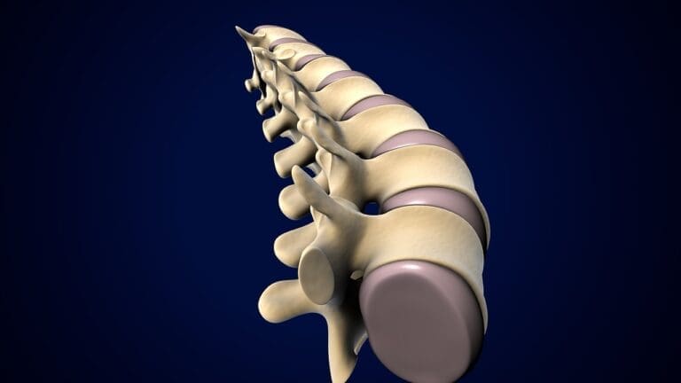What Is the Difference Between a Slipped Disc and a Herniated Disc?