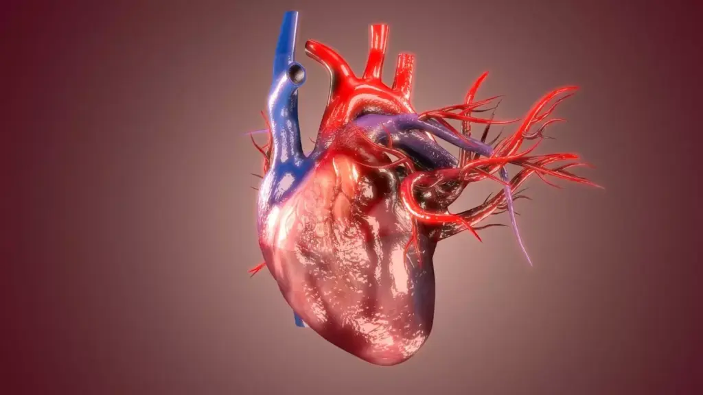 A high-resolution, photorealistic illustration of the epidemiology of myocardial infarction. In the foreground, a detailed anatomical diagram of the human heart, showcasing the affected regions during a heart attack. In the middle ground, a series of charts and graphs displaying statistical data on risk factors, demographics, and incidence rates of myocardial infarction. The background features a softly blurred cityscape, conveying the global impact and prevalence of this condition. The lighting is warm and natural, creating a sense of clinical authority and medical expertise. Captured with a sharp, detailed lens to emphasize the technical precision of the imagery. A high-resolution, photorealistic illustration of the epidemiology of myocardial infarction. In the foreground, a detailed anatomical diagram of the human heart, showcasing the affected regions during a heart attack. In the middle ground, a series of charts and graphs displaying statistical data on risk factors, demographics, and incidence rates of myocardial infarction. The background features a softly blurred cityscape, conveying the global impact and prevalence of this condition. The lighting is warm and natural, creating a sense of clinical authority and medical expertise. Captured with a sharp, detailed lens to emphasize the technical precision of the imagery.