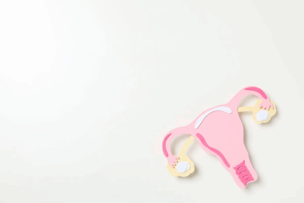 Fibroid procedure: 7 Powerful Options for Relief