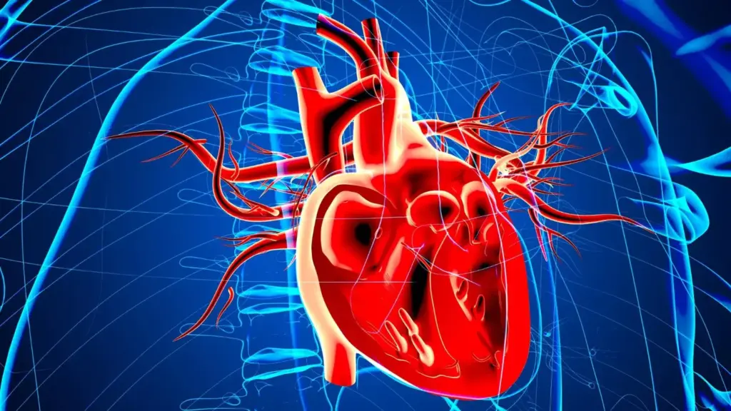 A detailed cross-section of the human heart, capturing the intricate anatomy of a myocardial infarction. In the foreground, visualize the damaged myocardium, with areas of necrosis and scar tissue clearly delineated. In the middle ground, depict the obstructed coronary artery responsible for the infarction, its lumen narrowed by a build-up of plaque. The background should showcase the surrounding healthy cardiac muscle, creating a contrast that emphasizes the affected region. Utilize a crisp, clinical lighting scheme to accentuate the medical nature of the subject, and employ a neutral color palette to maintain a professional, educational tone. Capture the scene from a slightly elevated angle, providing a comprehensive view of the pathological changes within the heart.