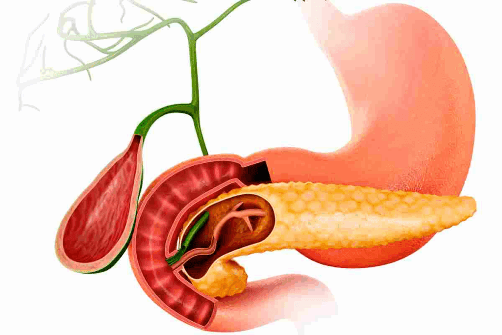Biliary Drainage Color: 7 Key Facts Explained