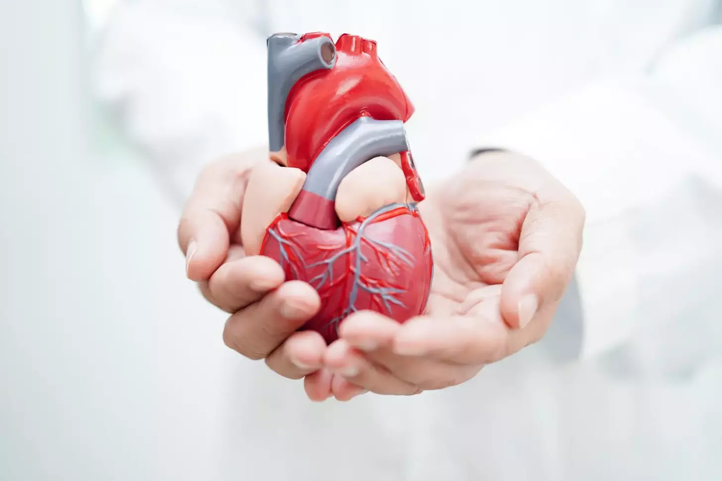 What Is MI Disease and How Is Myocardial Infarction Diagnosed and Treated?