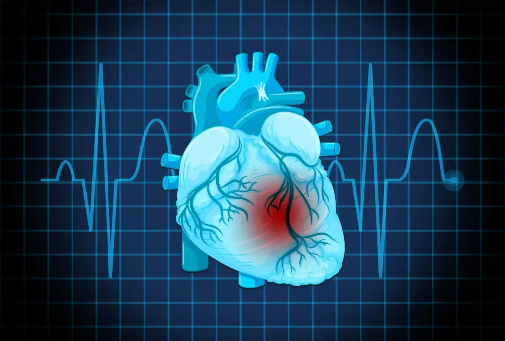 A detailed medical illustration showcasing the key symptoms of atrial fibrillation. The foreground depicts a human heart, with the left atrium highlighted, pulsing erratically to convey the irregular heartbeat. The middle ground features a series of diagnostic icons, such as an ECG readout, a blood pressure monitor, and a heart rate graph, visualizing the cardiovascular impacts. The background is a softly lit, clinical setting, lending an authoritative, informative tone. The lighting is natural and directional, casting subtle shadows to emphasize the three-dimensional forms. The overall composition is balanced and harmonious, guiding the viewer's eye through the key elements of this cardiac condition.