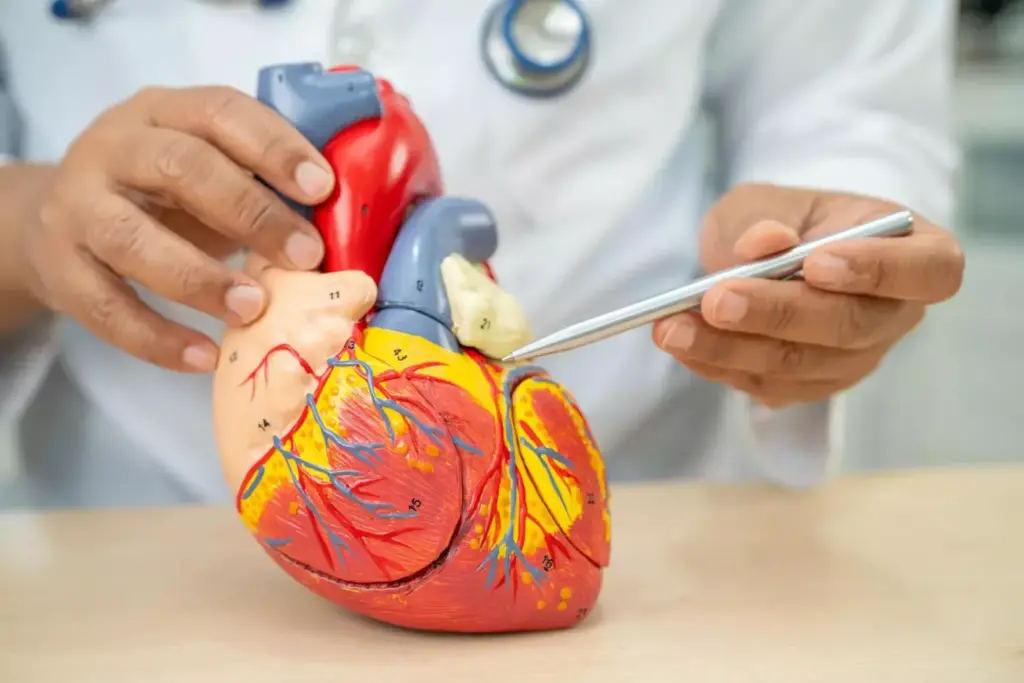 A detailed medical diagram depicting the definition of myocardial infarction. In the foreground, a cross-section of the heart shows the damaged myocardium, with areas of necrosis and inflammation. The middle ground features a labeled diagram highlighting the key anatomical structures involved, such as the coronary arteries and the left ventricle. The background showcases a subtle, muted color palette, conveying a sense of clinical precision and seriousness. The lighting is soft and evenly distributed, emphasizing the technical nature of the illustration. The overall composition is balanced and designed to effectively communicate the medical concept to the viewer.