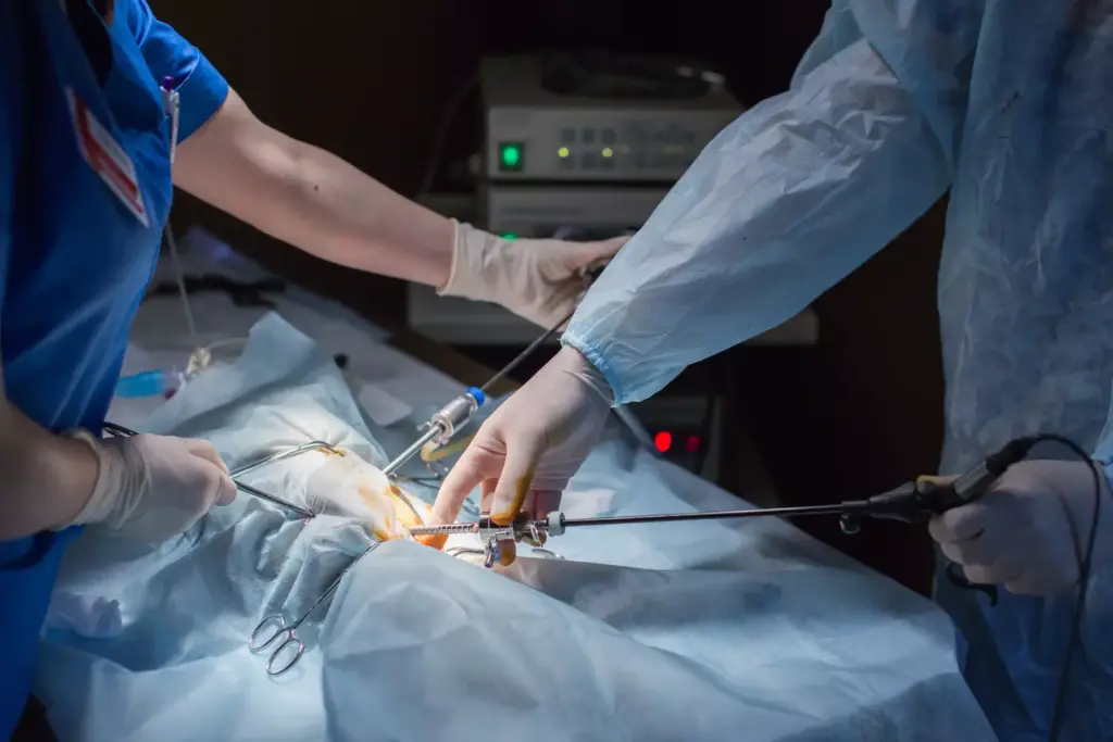 Understanding Ascending Aortic Aneurysms