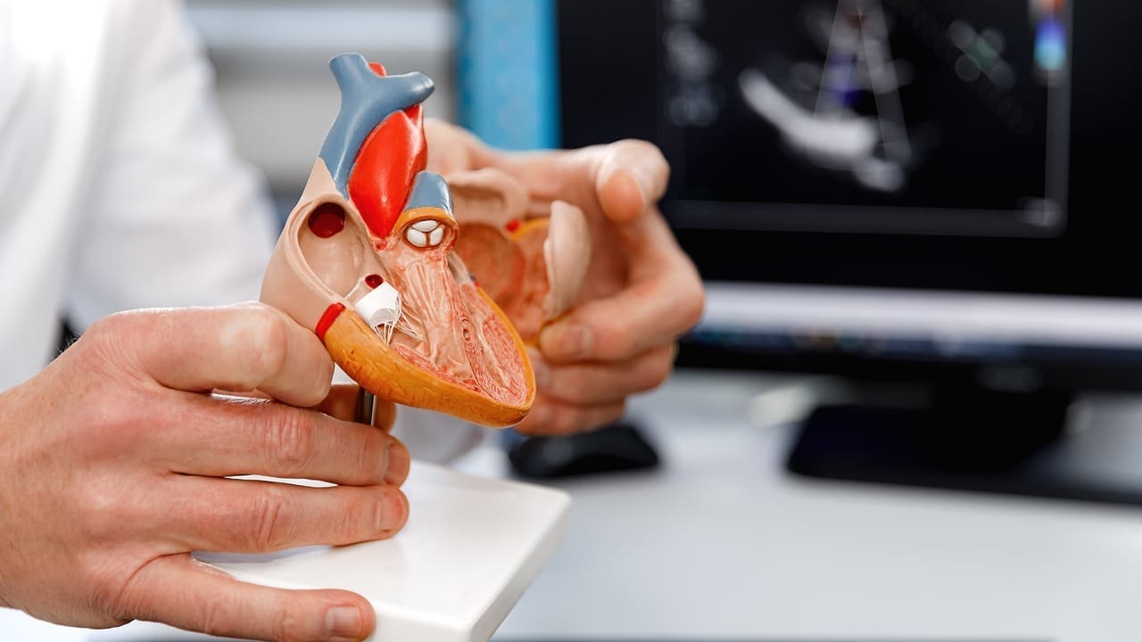 ascending thoracic aorta LIV Hospital