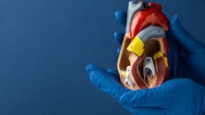 What Is a Dilated Aorta and How Serious Is Ascending Aortic Dilation?