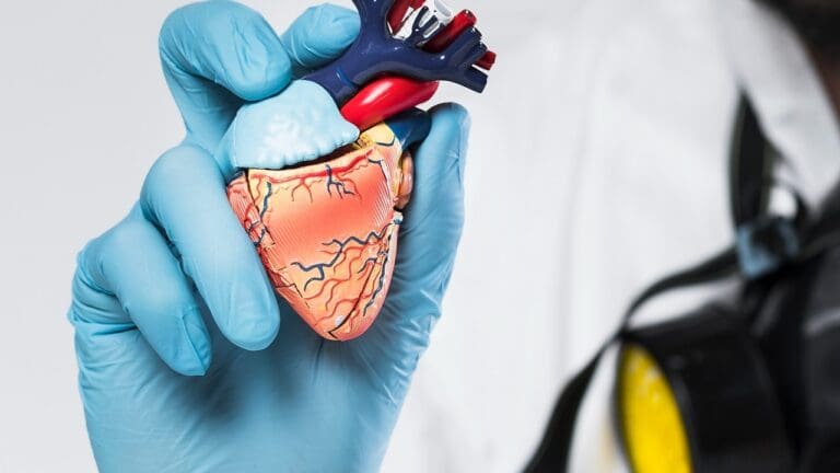 How Are Heart Murmurs Genetic, Hereditary, and Inherited in Humans?