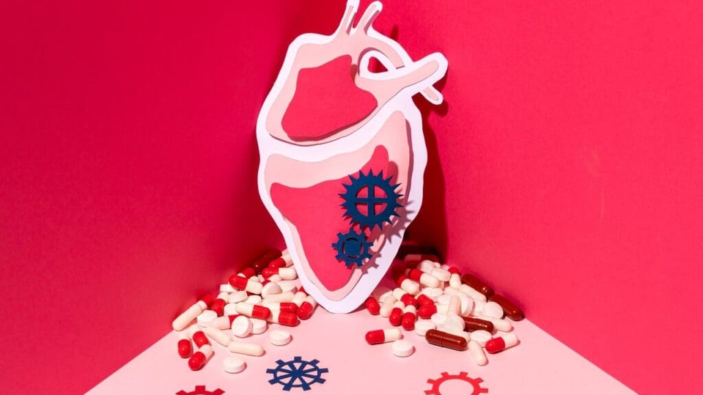 aortic valve anatomy aortic valve anatomy