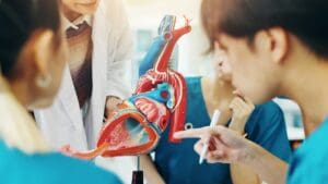 7 Key Facts You Need to Know About Stenotic Heart Valves