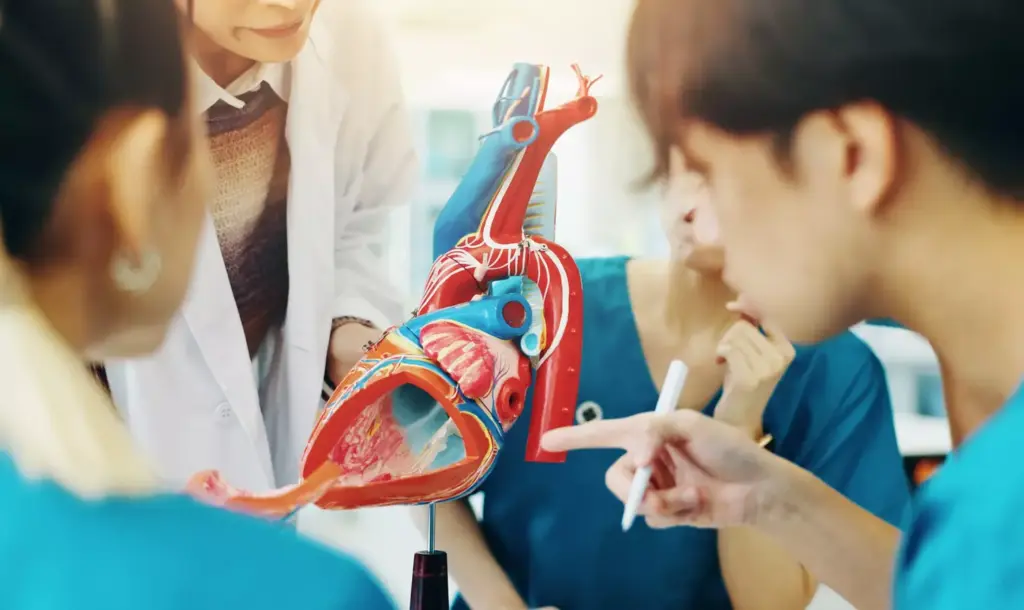 Risk Factors for Aortic Aneurysm Development