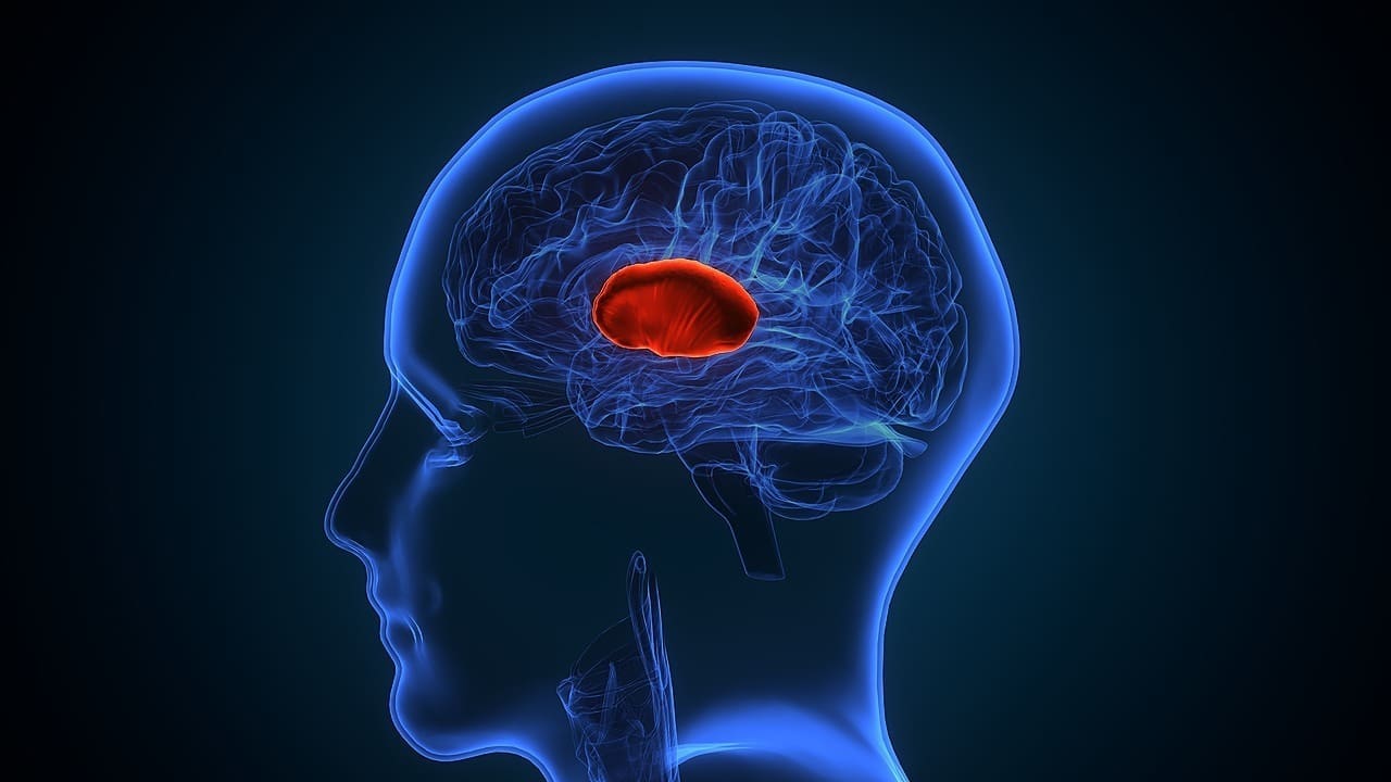 Meningioma Tumor LocationsMeningioma Tumor Locations: 7 Key Facts Ab