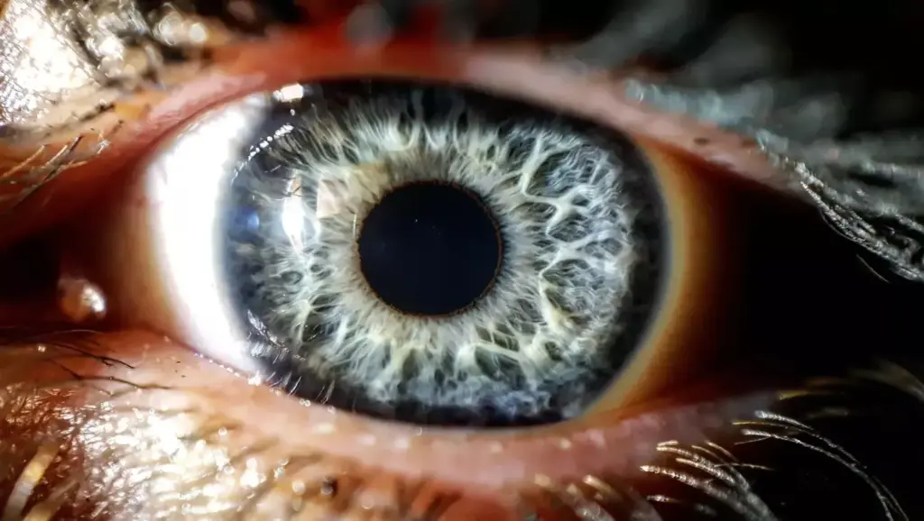 A close-up view of a human eye twitching involuntarily, with the eyelid rapidly closing and opening in a repeated pattern. The eye appears slightly reddened and irritated, with subtle wrinkles and creases around the eyelid. The lighting is soft and natural, casting gentle shadows that accentuate the details of the eye structure. The background is blurred and out of focus, keeping the attention solely on the eye and the twitching motion. The overall mood is one of concern and unease, reflecting the potential underlying medical condition causing the eye twitching.