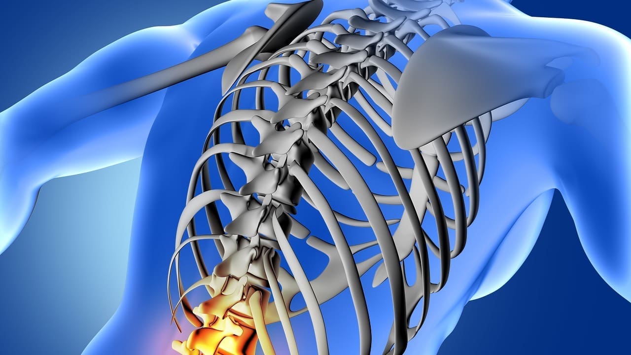 9 Key Spinal Cord Injury Levels: Functions, Symptoms & Types Explained