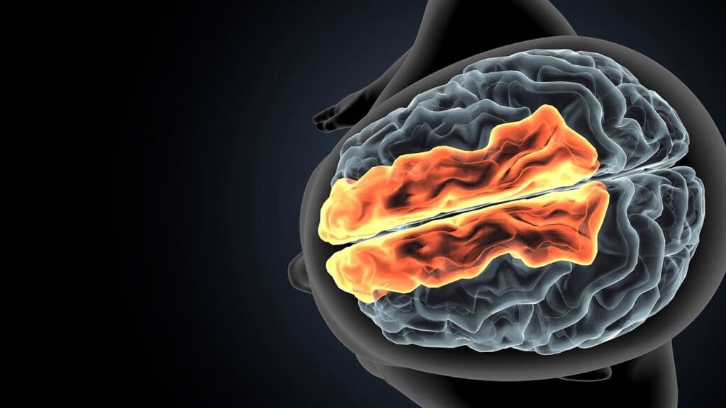 Understanding Brain Tumors