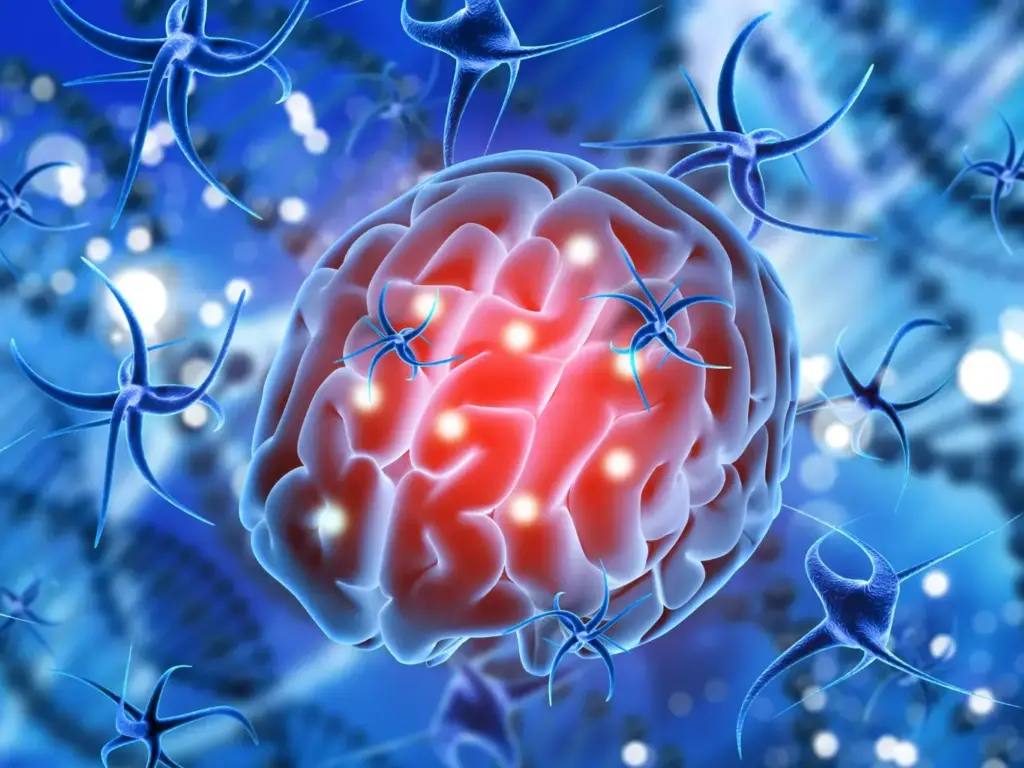 A detailed medical illustration showcasing the relationship between brain tumors and balance disorders. The foreground depicts a cross-section of the human brain, with a prominent tumor pressing against the cerebellum, the region responsible for balance and coordination. The middle ground features a silhouette of a person walking unsteadily, illustrating the balance issues caused by the tumor's disruption of neural pathways. The background is a softly blurred medical diagram, highlighting the intricate structures of the inner ear and vestibular system, further emphasizing the connection between brain tumors and balance problems. The lighting is soft and diffused, creating a somber, educational tone, while the composition and angle convey a sense of clinical analysis and scientific understanding.