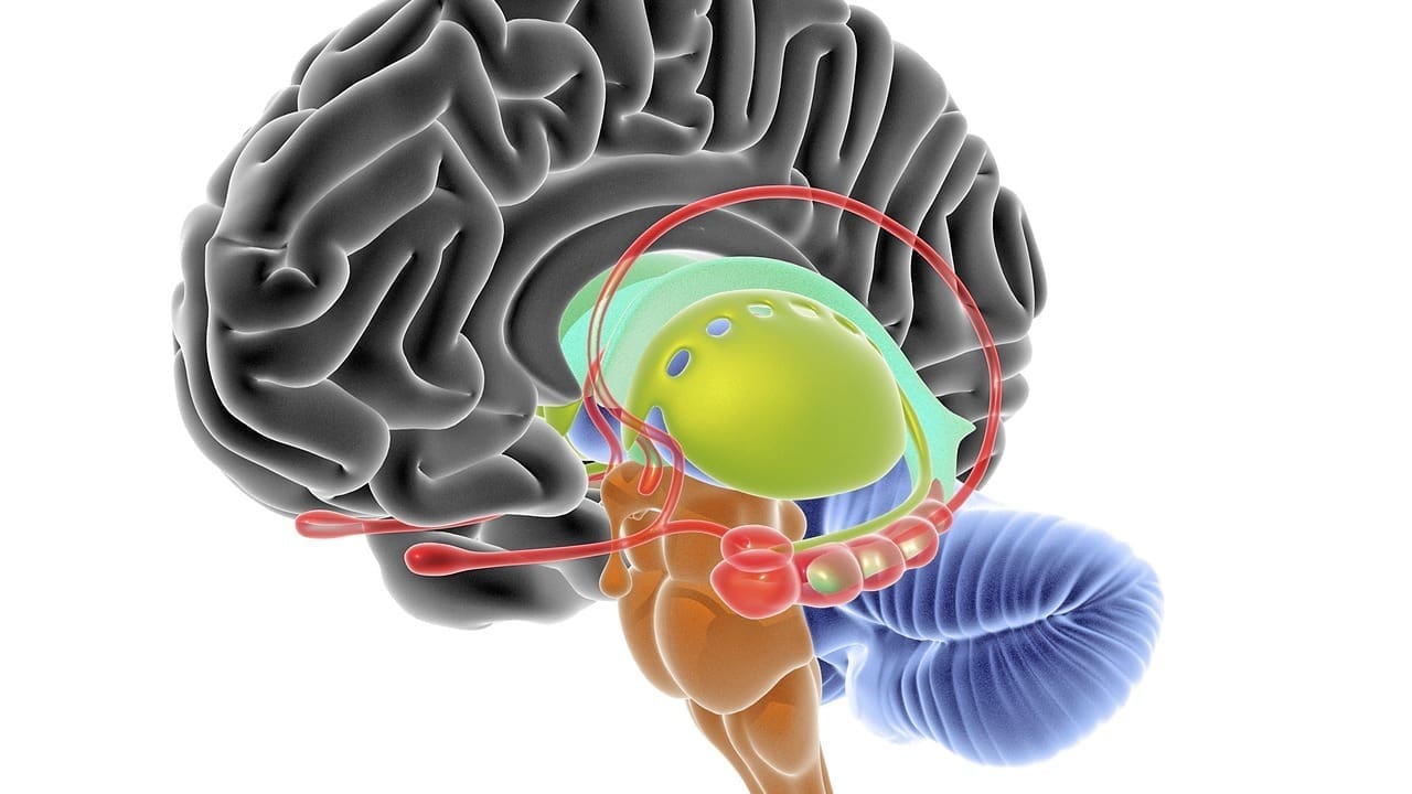 Malignant Brain Stem Glioma: 7 Key Symptoms, Diagnosis, and Treatment Options