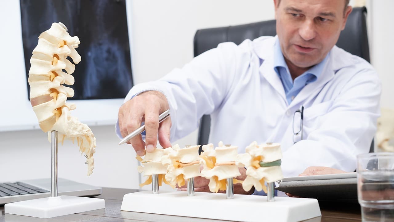 Spinal Injury Levels: 8 Types and Their Functional Impact Explained