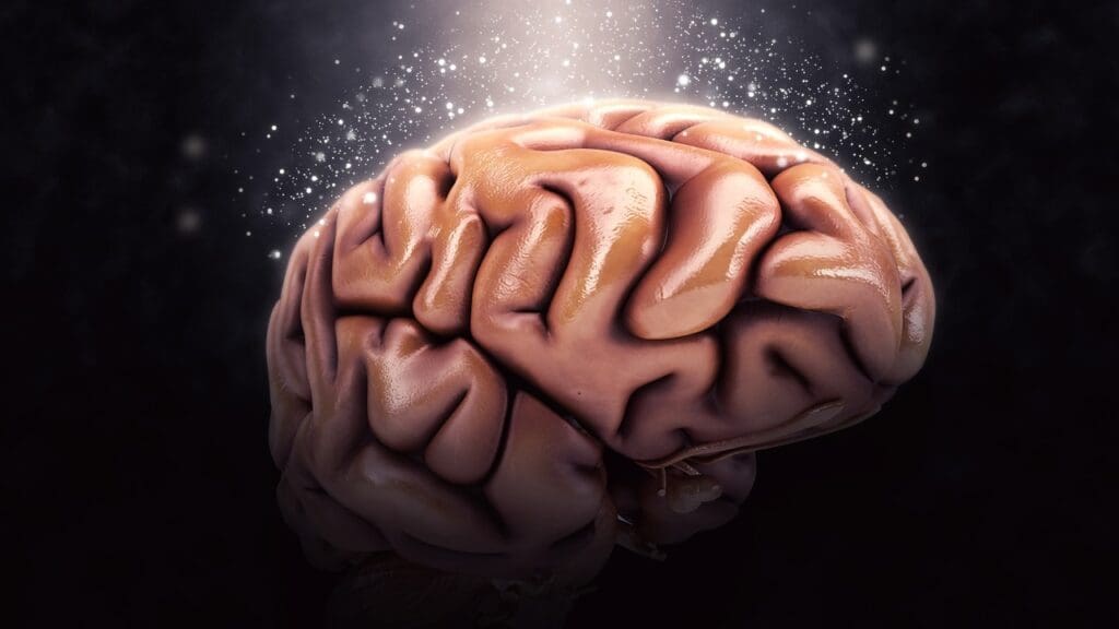 Brain Tumor on Brain Stem