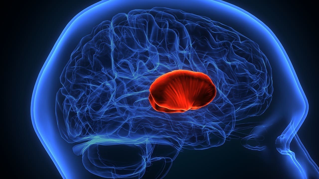 Brain Tumor on Brain Stem: 9 Key Symptoms and Treatment Steps to Know