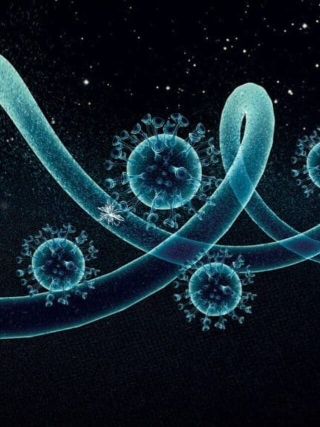 The Best Stem Cell Therapy Clinics in the World: A 2026 Guide